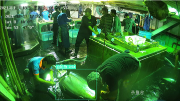 AI Video Analytic Case Study